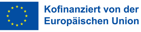 European Union and ESF Plus co-funding logo